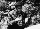 Vůdčí osobnost československé arachnologie František Miller (1902–83) na 3. sběratelské exkurzi Arachnologického centra při katedře systematické zoologie Přírodovědecké fakulty UK v Praze. Exkurze se konala v r. 1974 na Slovensku, v místech, kde jako gymnaziální profesor v Trenčianských Teplicích začal zkoumat pavouky. Foto z archivu autora