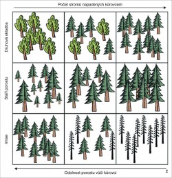 Obr. znázorňuje závislost odolnosti porostu proti kůrovci na druhové  skladbě a stáří porostu a na vlivu imisí. Každá řádka popisuje vliv jednoho  faktoru (druhová skladba, stáří porostu, imise) na počet stromů napadených lýkožroutem smrkovým (Ips typogra­phus) na jednotku plochy (zvětšuje se  zleva doprava). Tento parametr je  největší ve smrkových monokulturách (vpravo nahoře), v porostech s množstvím starých stromů (vpravo uprostřed), a tam, kde se nachází mnoho oslabených  stromů – především imisemi (vpravo dole). Podle: P. Kindlmann a kol. (2012)