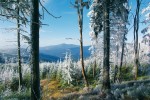 Pohled na beskydskou krajinu ze svahu Malého Polomu, v pozadí Lysá hora (1 323 m n. m.). Foto O. Hauck jr.