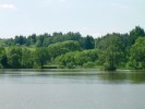 Čejkovický rybník (dříve zvaný Kopanina, katastr louka Mokeř) na jaře