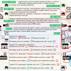 Model rozložení kriminality v českém městě