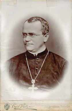 Portrét Gregora Johanna Mendela z doby, kdy byl již uznávaným opatem, tedy někdy po r. 1868. Snímek z archivu Mendelova muzea při Masarykově univerzitě v Brně