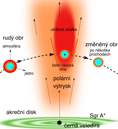Schématická ilustrace zachycuje červeného obra – velmi velkou a hmotnou hvězdu s rozsáhlou atmosférou – v okamžiku jejího průchodu výtryskem hmoty proudící směrem od černé díry Sgr A*. V plynu se tvoří rázové vlny, hvězda ztrácí atmosféru, zvyšuje povrchovou teplotu a mění svou spektrální klasifikaci. Zdánlivě se nám pak jeví mladší (obrázek z článku Zajaček et al. 2020).