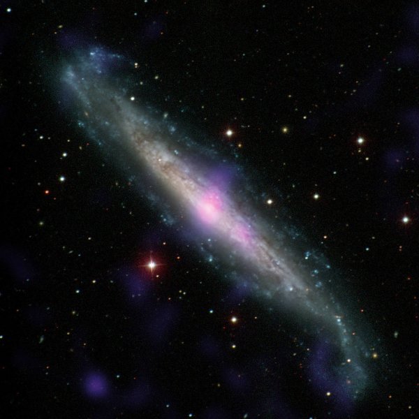 Kombinovaná optická a rentgenová fotografie galaxie NGC 1448. Nejjasnější a nejenergetičtější záření přichází ze samotného centra galaxie, z tzv. aktivního galaktického jádra. Zatímco intenzivní optická emise je vyzářena akrečním diskem černé díry, rentgenové záření vzniká v koroně nad ním. (foto: Carnegie- -Irvine Galaxy Survey/ NASA/JPL-Caltech)
