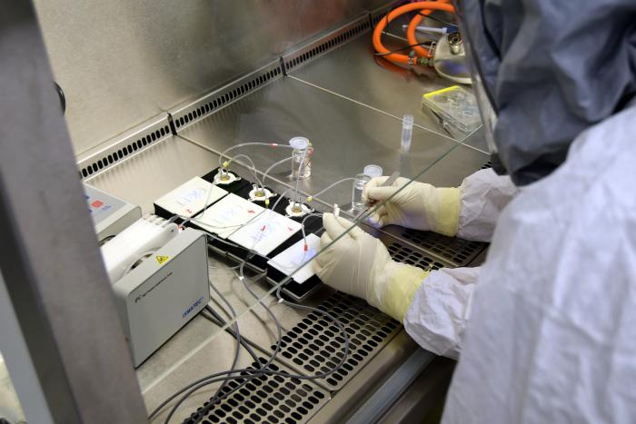 Testování biočipů v laboratořích BSL Jihočeské univerzity v Českých Budějovicích. Kredit: JCU