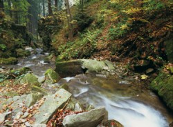 Vodopády potoka Satiny u Malenovic v Lysohorské pahorkatině. Foto P. Mudra