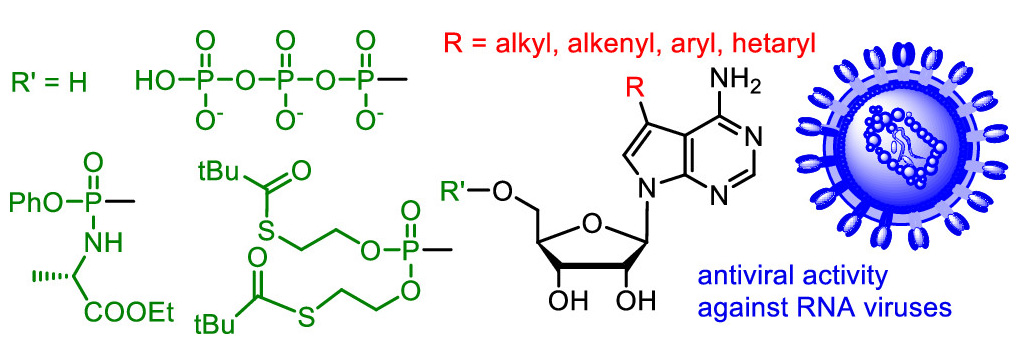 The activity of base-modified nucleosides and prodrugs against RNA viruses