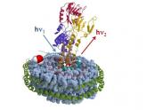 Biophysical Chemistry department