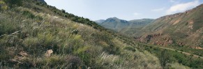 Mozaikovitá stepní a lesostepní  krajina v popředí s kvetoucími kavyly (Stipa) v údolí vedoucím ke středo­věkému kostelu Noravank s výskytem  mnoha planě rostoucích dřevin – hrušní (Pyrus), mandloní (Amygdalus), pistácií Pistacia mutica, chvojníků (Ephedra), jasmínu křovitého (Jasminum fruticans) a dalších.