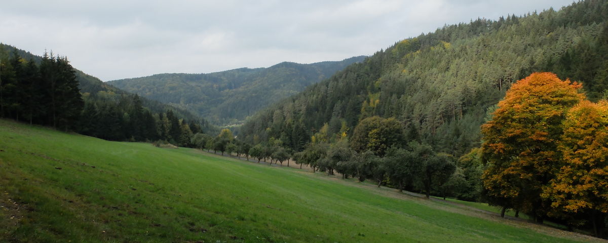 Štěpánov nad Svratkou, Těžební areál Havírna