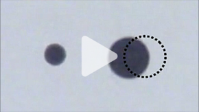 two black dots with a dotted circle over the larger and a play button overlay
