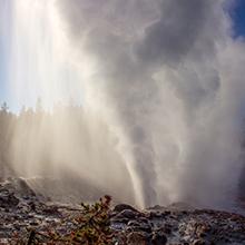 Steam dominates the end of a Steamboat Geyser eruption