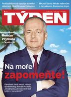 Týden