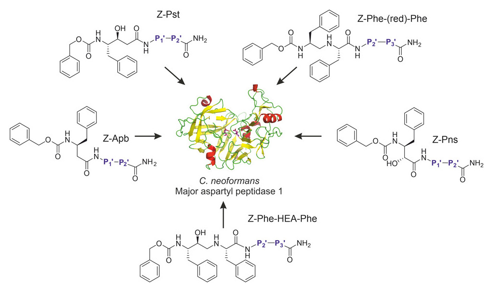 Drugs combining antifungal and antiretroviral activities