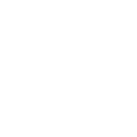 Lectures