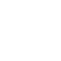 Q&A