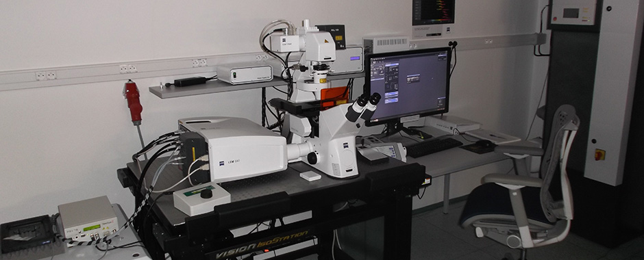 Confocal microscope