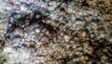 Calcium carbonate precipitate resembling so-called cave pearls.