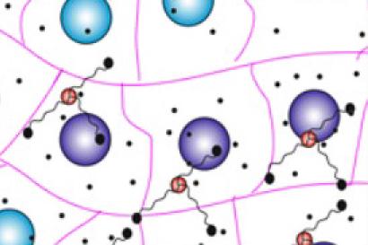 Zvýšení efektivity protonové terapie poprvé experimentálně prokázáno: Proton-borová záchytná terapie  (Proton Boron Capture Therapy)