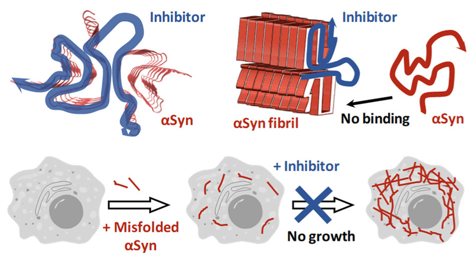 Parkinson's disease treatment strategy based on protein inhibitors