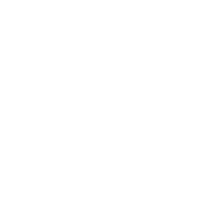 Workshops