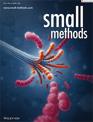 Titulní strana časopisu Small Methods 04/2021