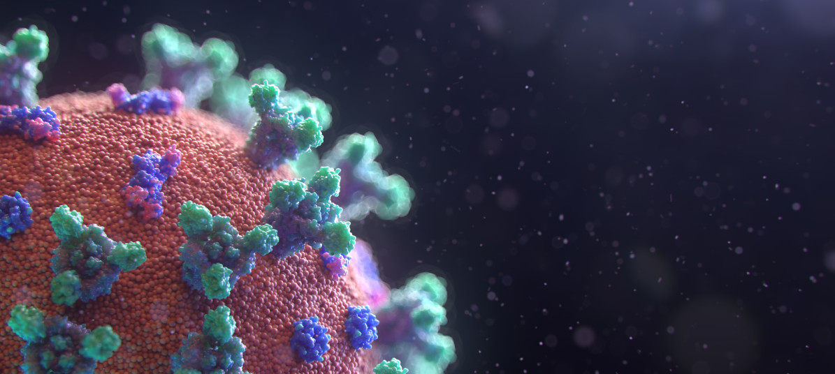 Photo by Fusion Medical Animation
