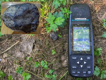 Obrázek 6. První meteorit Renchen (M1) o hmotnosti 11.9 g v nálezové pozici a s vloženým detailem. Meteorit byl nalezený necelé 2 týdny po pádu dne 24. července 2018. Foto: Ralph Sporn a Martin Neuhofer, Pavel Spurný.