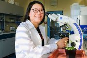 Fen Yang se věnuje výzkumu proteinového SMC komplexu huseníčku rolního několik let