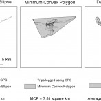 Activity space of homeless people 1