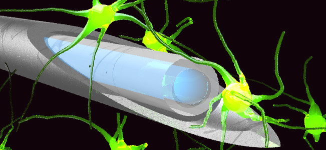 Holographic Endoscopy