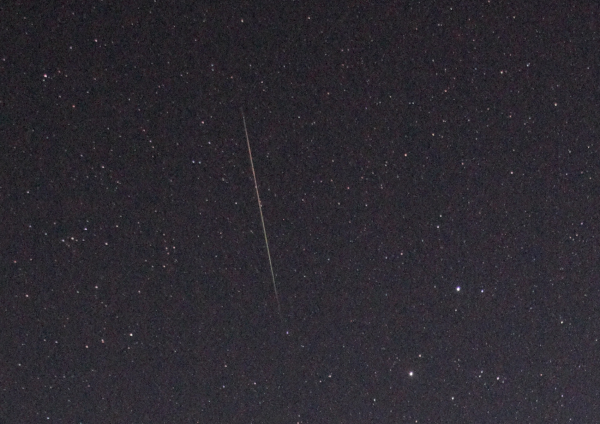 Záznam nejjasnější pozorované alfa-Monocerotidy ze stanice Křišťanov. Meteor letěl směrem nahoru v blízkosti dvou jasných hvězd souhvězdí Blíženců. Foto Vlastimil Vojáček.