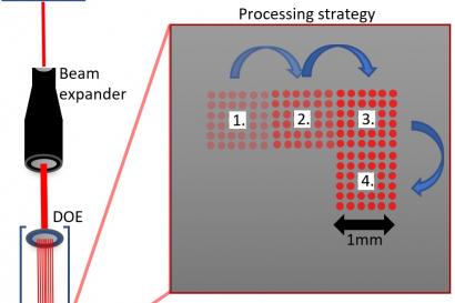 Figure 1.jpg