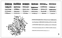 Metafázní buňka (vlevo dole) a z ní sestavený karyotyp (nahoře a vpravo) jesetera ruského (Acipenser  gueldenstaedti) ukazuje chromo spontánně triploidního jedince s ploidií odpovídající 360 chromozomům.
