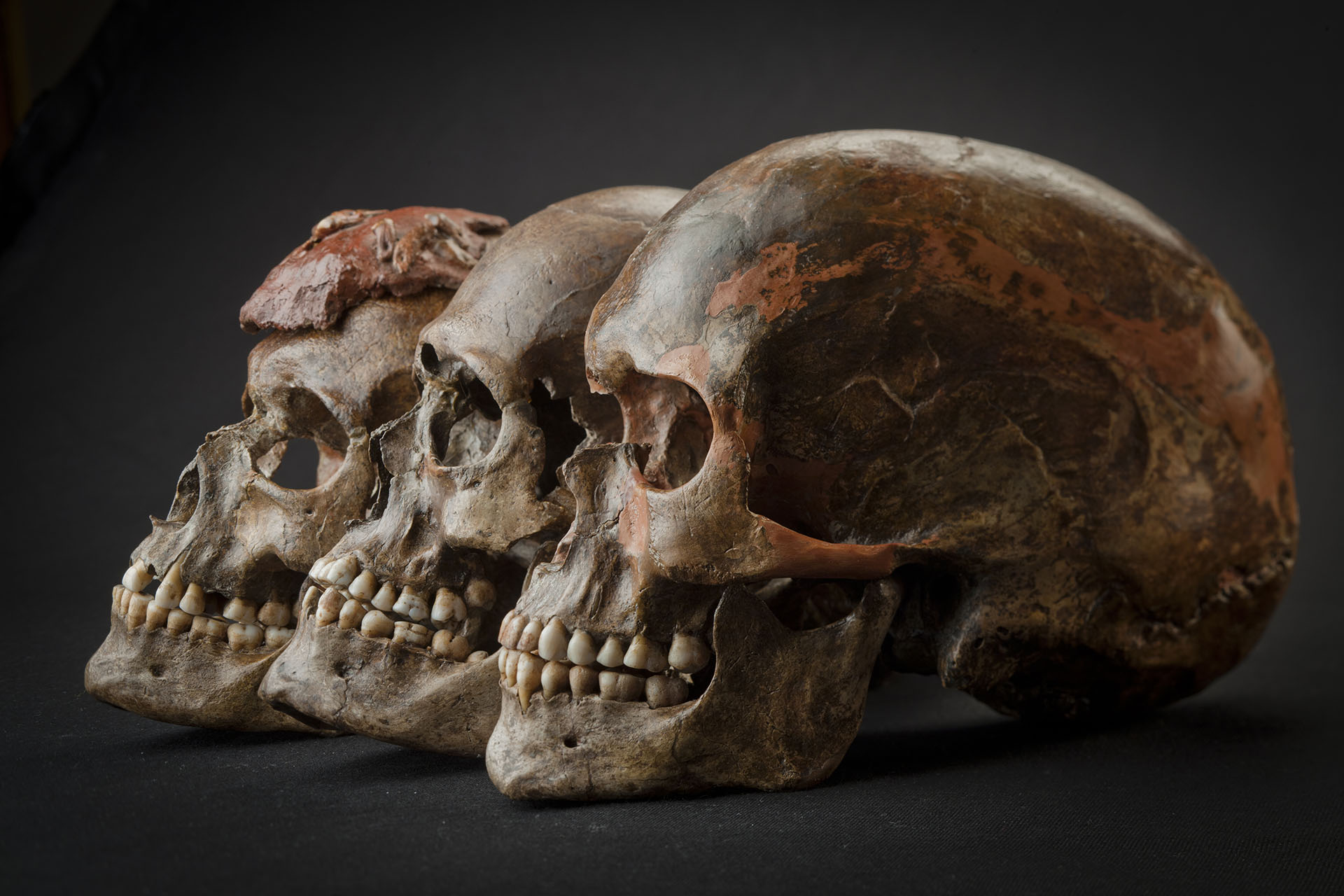 Skládáme mozaiku poznání o prvních zástupcích anatomicky moderního člověka v Evropě