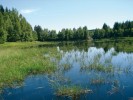 Lokalita pásemničky – přehradní nádrž Hamry na řece Chrudimce u Hlinska. Foto J. Špaček