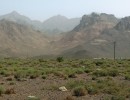 Kamenitá polopoušť – xerotermní biotop druhu P. nanus. Provincie  Esfahan, střední Írán. Foto J. Simandl
