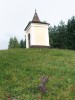 Sešlapávaný krátkostébelný květnatý porost s hořečkem mnohotvarým českým pod kaplí v obci Lštění na Vimpersku (20. září 2002). Foto J. Brabec