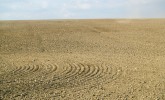 Suché plochy velkých zemědělských pozemků vytvářejí podmínky pro větrnou erozi. Foto J. Rožnovský