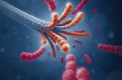 Microtubules (Art by Neuron Collective, coverpage from Small Methods Journal, 04/2021)