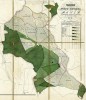 Lesnická porostní mapa revíru Mauth z r. 1856. Pro každý oddíl lesa (porost)  je barvou znázorněno druhové složení a střední věk. Z archivu NP Bavorský les