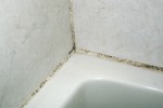 Mikrobiální biofilmy jsou běžné i v našich koupelnách, kde způsobují nevzhledné povlaky. Foto M. Rulík