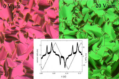 Ferroelectric properties of liquid crystalline phases