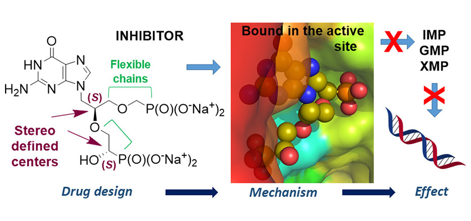 Acyclic nucleoside phosphonates as inhibitors of parasite 6-oxopurine PRTs