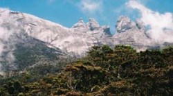 Vrchol hory Mt. Kinabalu (v nadmořské výšce přes 4000 m) je modelovaný ledovcovou erozí z období glaciálu a je téměř bez vegetace. Pod ním rostoucí alpínská a subalpínská flóra hostí řadu endemických druhů keřů a bylin. V mlžných lesích nad 2 500 m n. m. rostou i různé druhy endemických jehličnanů. Foto J. Suchomel / © J. Suchomel