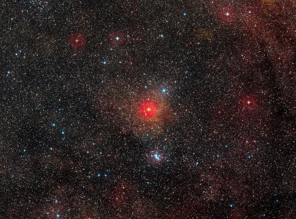Hvězda HR5171 je jednou z mála hvězd v Galaxií klasifikovanou jako žlutý hyperobr. Zde je zobrazena uprostřed snímku s velkým zorným polem. Její rozměr přesahuje 1300krát rozměr našeho Slunce a patří tak mezi největší známé hvězdy. © ESO