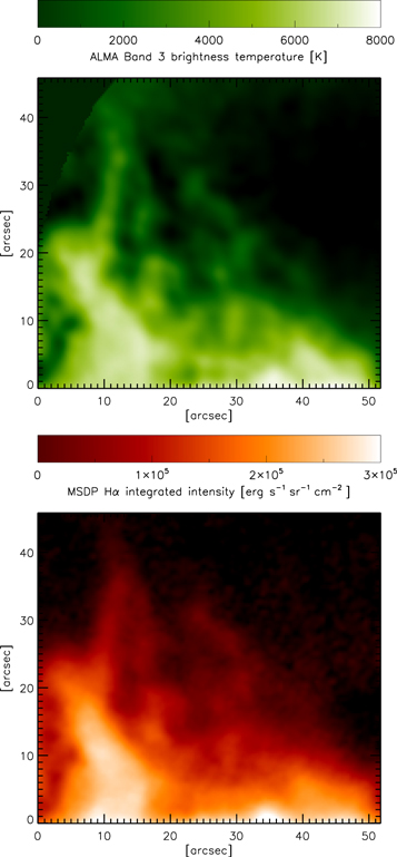 Mapy jasové teploty studované protuberance z radioteleskopu ALMA (nahoře) a odpovídající intenzita ve vodíkové čáře Hα z polského koronografu (dole). Pro smysluplnou analýzu bylo možné použít pouze body s intenzitou větší než 105 jednotek uvedených na barevné škále.