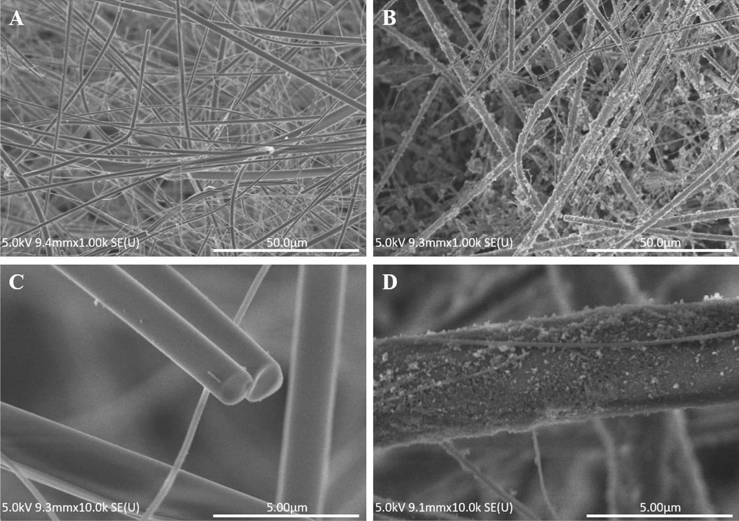 Scanning electron microscopy images