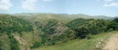 Různě zapojené doubravy na svazích zaříznutých kaňonovitých údolí  ve stepních oblastech centrální Arménie. Foto E. a L. Ekrtovi