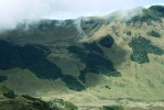 Mozaika porostů trsnatých trav  a lesíků tvořených několika druhy rodu Polylepis svědčí o míře vlivu člověka  na horskou vegetaci v ekvádorských Andách; hřebeny na obrázku dosahují výšky 4 100 m n. m.